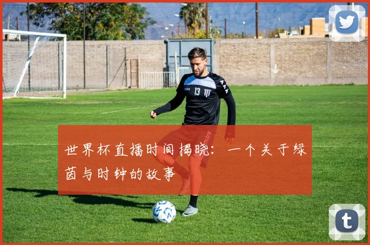 世界杯直播时间揭晓：一个关于绿茵与时钟的故事