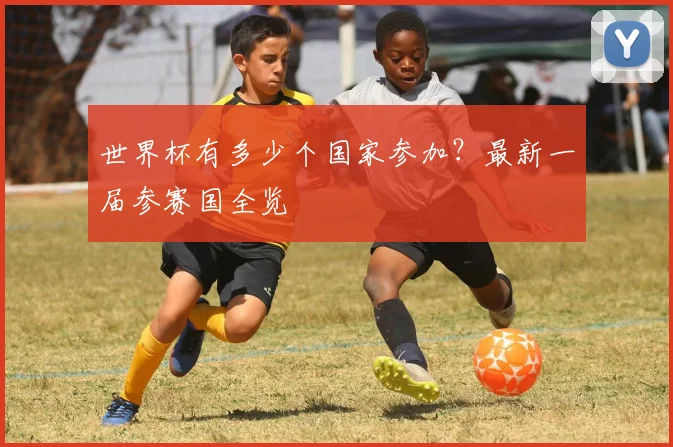 世界杯有多少个国家参加?最新一届参赛国全览