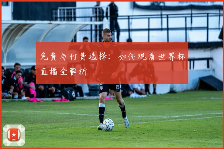 免费与付费选择：如何观看世界杯直播全解析