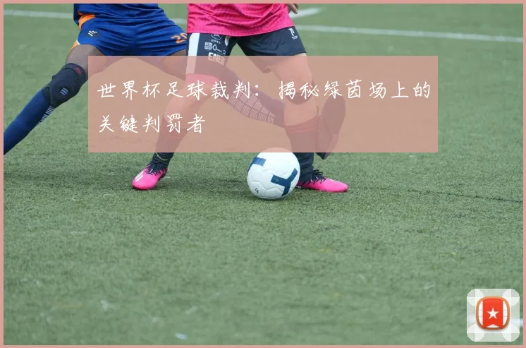 世界杯足球裁判：揭秘绿茵场上的关键判罚者