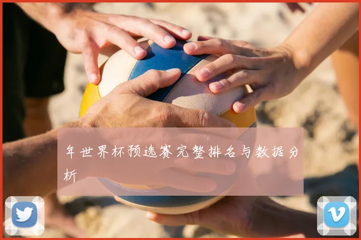 年世界杯预选赛完整排名与数据分析