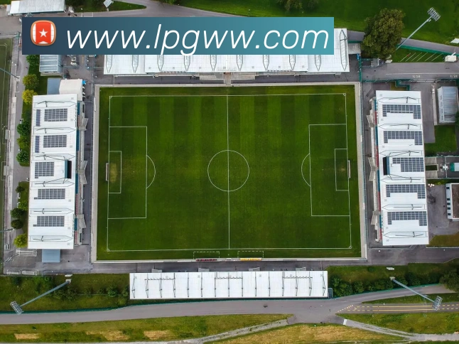 欧宝app登录入口平台生态图