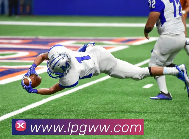 欧宝app登录入口全站App